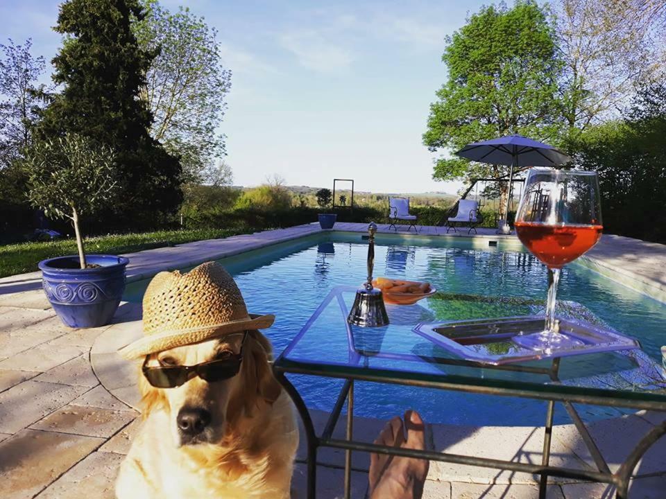 Domaine Du Merlot Sainte-Sabine-Born ภายนอก รูปภาพ